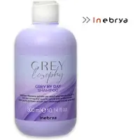 Inebrya Shampoo Grey By Day - 300ml