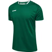 Hummel Camisa funcionais 'Authentic' verde / verde escuro