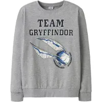 TWO SOON Sweatshirt 'Harry Potter' cinzento / mistura de cores