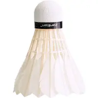 Carlton Petecas De Badminton Gt4 Smedium