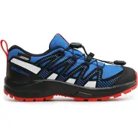 Salomon Sapatos De Caminhada Xa Pro V8 Cswp