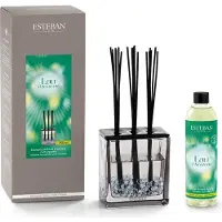 Esteban Diffusore di aromi Eau D'Amazonie Scented Bouquet Triptyque 250 ml