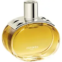 Hermès Paris perfume Barénia Intense EDP 100 ml