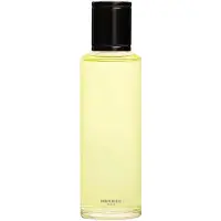 Hermès Paris HERMÈS Barénia Eau de Parfum Intense Eau de Parfum intenso para mulher 125 ml