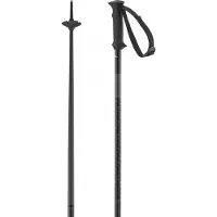 Salomon Bastões Polar Access