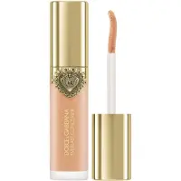 Dolce&Gabbana Everlast Concealer 14 - LIGHT MEDIUM 11 ML