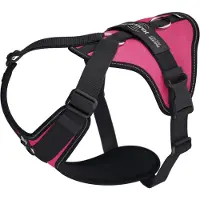 JULIUS K-9 Arnês Para Cães Longwalk Light