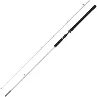 Abu Garcia Cana Baitcasting Beast X2