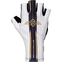 Swings Luvas Aero