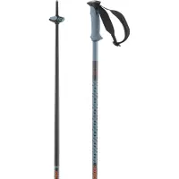 Salomon Bastões Polar Pro