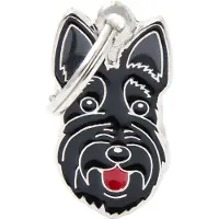 My Family Etiqueta De Identificação Para Scottish Terrier
