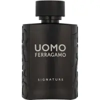 Salvatore Ferragamo Assinatura Masculina 100 ml