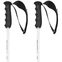 Head Bastões Worldcup Rebels Carbon