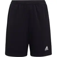 Adidas Calções de Treino Entrada 22