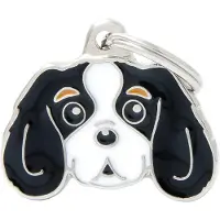 My Family Etiqueta De Identificação Para Animais De Estimação Cavalier King
