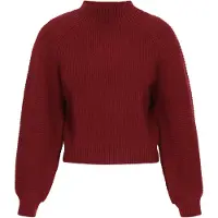 Dreimaster Pullover borgonha