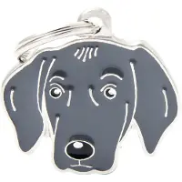 My Family Etiqueta De Identificação Para Weimaraner