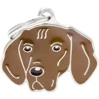 My Family Etiqueta De Identificação Para Vizsla