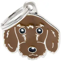 My Family Etiqueta De Identificação Para Dachshund De Pelo Duro