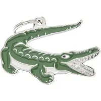 My Family Etiqueta De Identificação Para Animal De Estimação Crocodilo