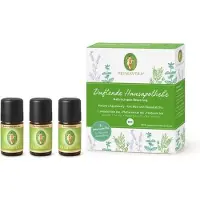 Primavera Kit de primeiros socorros aromáticos 3 x 5 ml