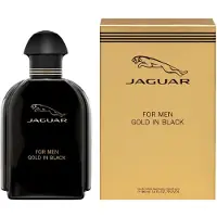 Jaguar Classic perfume For Men Gold In Black EDT 100 ml