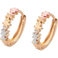 NAEMI Brincos ouro / ouro rosa