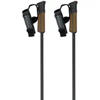 Fischer Bastões Gt 13 Comp Mag