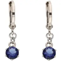 Gaya Brincos azul escuro / prata