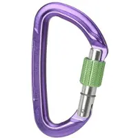 Wild Country Mosquetão Session Screw Gate