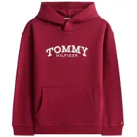 Tommy Hilfiger Moletom Com Capuz Monotype Print