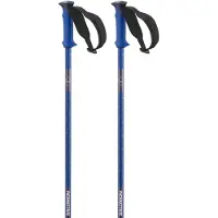 Salomon Bastões Polar Pro