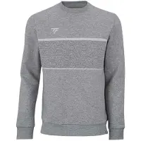 Tecnifibre Moletom Team