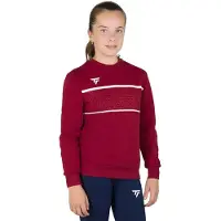 Tecnifibre Moletom Team