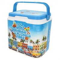 Colorbaby Tendências De Verão Em Geladeiras De Plástico Rígido 24l