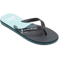 Quiksilver Chinelos Molokai