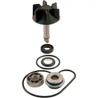RMS Beauty Kit De Reconstrução Da Bomba De água Suzuki Burgman 125-250-400cc 100110260