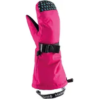 Viking Mitene Nomadic Gore-tex