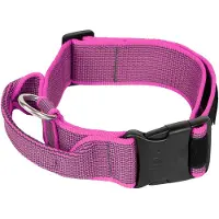 JULIUS K-9 Coleira De Cachorro Collar 50 Mm
