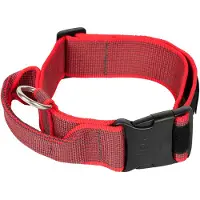 JULIUS K-9 Coleira De Cachorro Collar 50 Mm