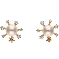NAEMI Brincos ouro / branco