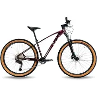 RALI Bicicleta De Mtb Adv I 29´´ Cues