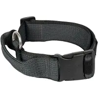 JULIUS K-9 Coleira De Cachorro Collar 40 Mm