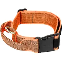 JULIUS K-9 Coleira De Cachorro Collar 50 Mm
