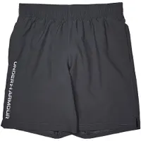 Under Armour Calções Woven Wordmark