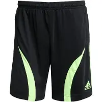 Adidas Originals Calças 'Teamgeist Adicolor' verde claro / preto