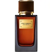 Dolce&Gabbana perfume Velvet Amber Sun EDP 100 ml