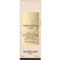 Guerlain Terracotta Le Teint 1W