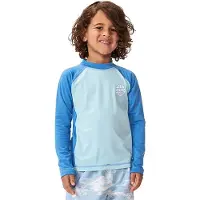 Rip Curl Rash Guard Manga Comprida Icons Brushed