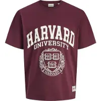 Jack & Jones Camiseta De Manga Curta Harvard Styd